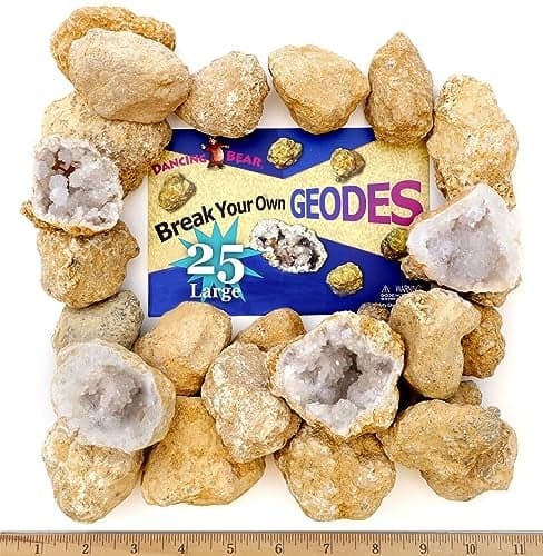 DANCING BEAR 25 Break Your Own Geodes 90 Hollow Large 17525 Crack Open Discover Amazing Surprise Crystals Inside Educational Info and Instructions Included Fun Party Favors Prizes