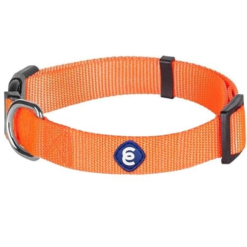 Blueberry Pet Essentials Florence Orange Adjustable Nylon Dog Collar for Large Dogs, Classic Solid Color Pet Safety & Style for Large Dogs