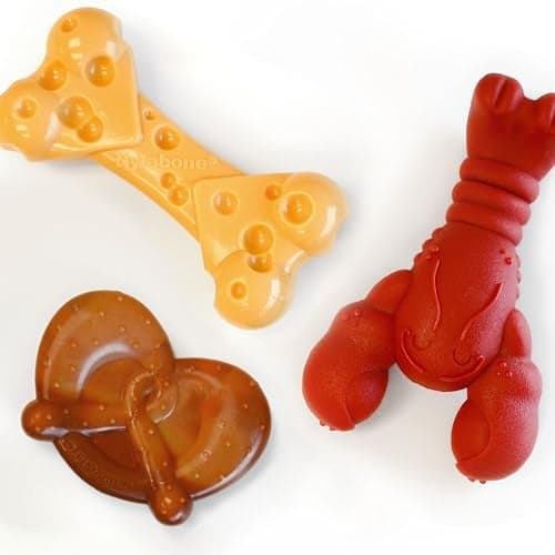 Nylabone Power Chew Toy Bundle Cute Dog Toys for Aggressive Chewers Filet Mignon Cheese and Bacon Flavors Small Dogs Up to 25 lbs 3 Pack
