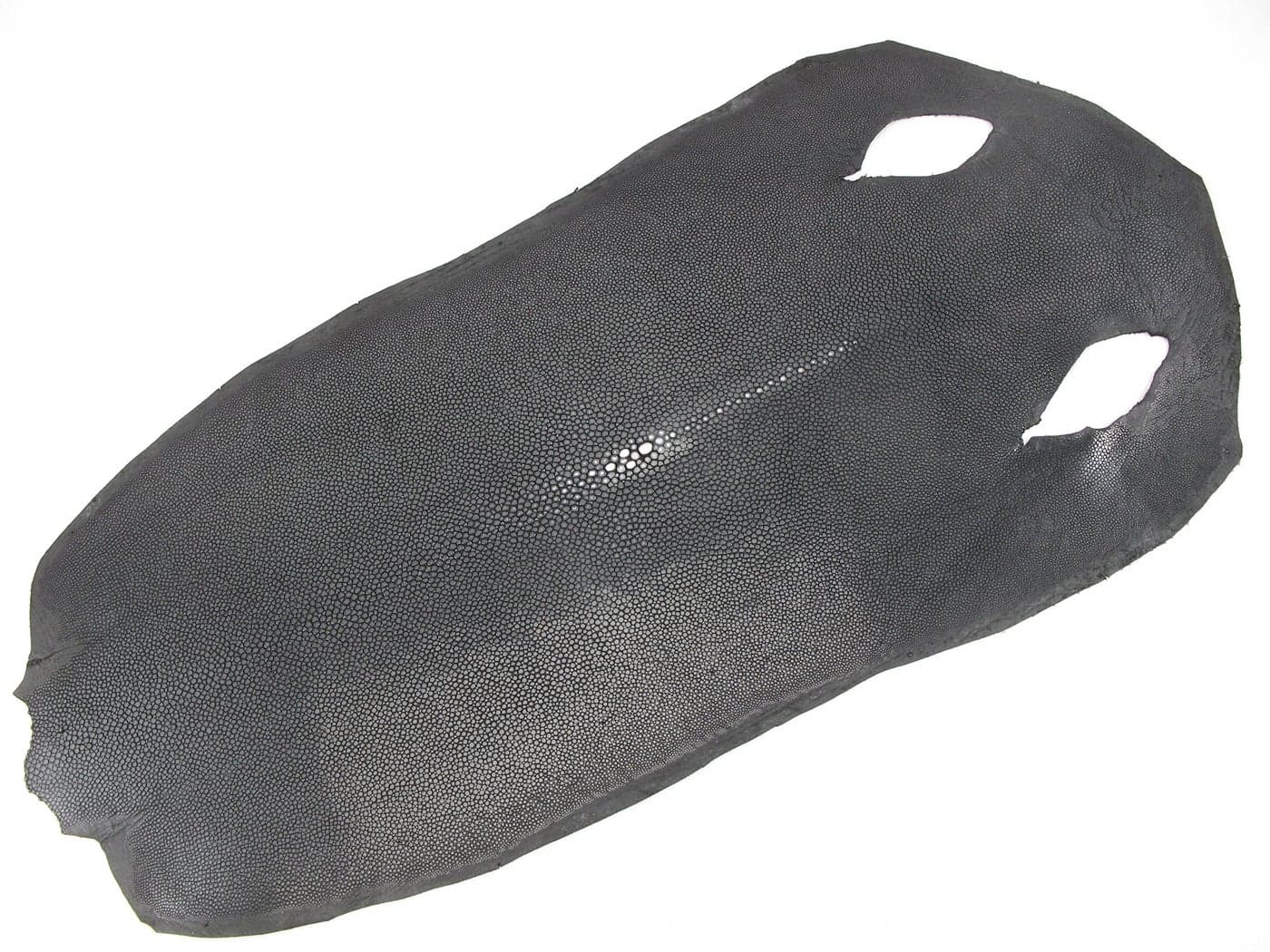 PELGIO Genuine Polished Stingray Shagreen Skin Leather Soft Hide Pelt Grade A (Black, 7" x 16")