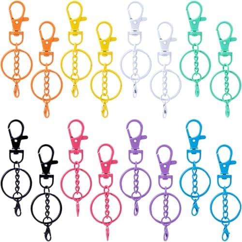 Alpinleux 16 Pcs Metal Keychain Clip Colorful Swivel Snap Hook with Key Rings Swivel Keychain Hook Lobster Keychains Clasps for Keychains DIY Crafts 8 Styles