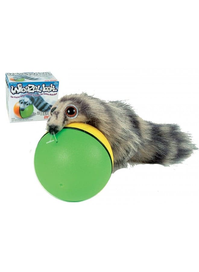 D.Y. TOY Weazel Ball Playful Weasel