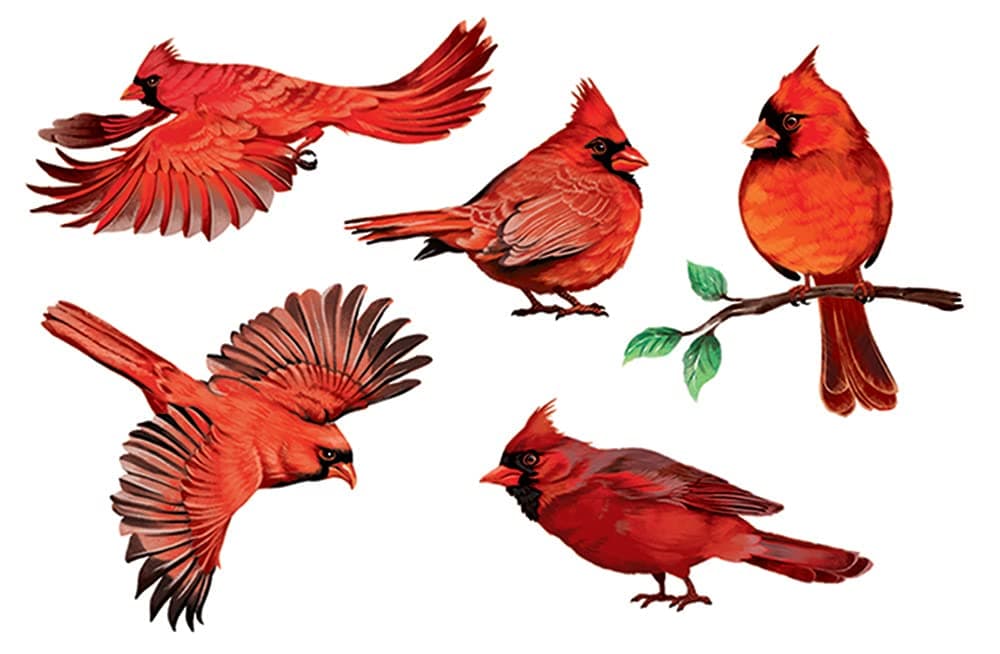 WIRESTER Decal Vinyl Wall Stickers Decoration for Home Office Living Room Wall Bathroom Red Cardinal Birds