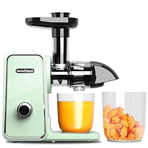 IWODTECH Juicer Machine Cold Press Juicer with 2 Speed Modes Slow Masticating Juicer Vegetable and Fruit Celery Juicer Easy to Clean Matcha Green