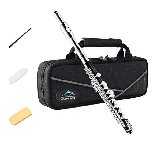 Eastrock Black Resin Piccolo Key of C 2-Piece Keys for Beginner, Kids, Student with Hard Case, Cleaning Rod, Cloth and Gloves