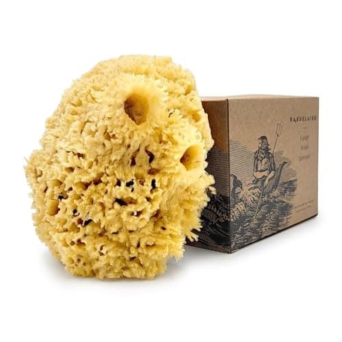 Sea Wool Sponge by Baudelaire 5.5" - Natural Sea Sponges for Bathing - Bath Sea Sponge for Shower - Natural Sea Sponge Loofah | Durable | Sustainable & Environment-Friendly Natural Sponges for Body
