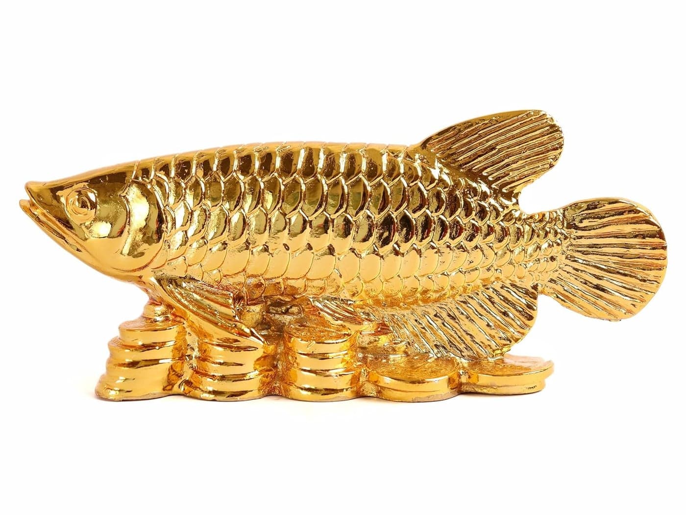 The Spiritual Living Arowana Fish Statue II Feng Shui Fish II Strong Wealth Symbol II 55 Inch II Prosperity Wealth Symbol II Vastu Products II Home Office