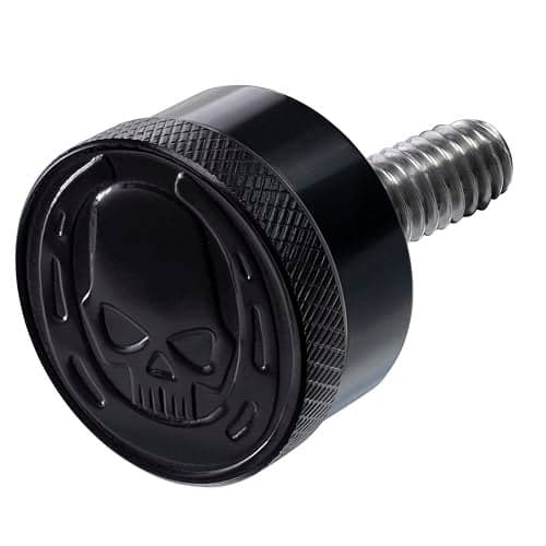 Fenrir Motorcycle Seat Anti Theft Bolt Security Screw Kit 304 Stainless Steel Metal Engraving Skull Horseshoe Motif Compatible with Harley Davidson 1997Now Sportster Softail Dyna Touring 809Y010