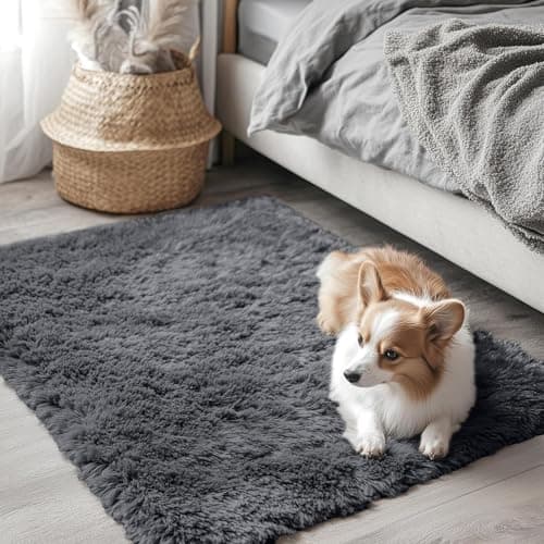 OLANLY 2x3 Machine Washable Small Bedside Rug, Soft Fluffy Shaggy Entryway Throw Rugs for Bedroom, Living Room, Indoor Floor Carpet for Kids Girls and Boys, Nursery Rooms, Home Decor Aesthetic, Grey