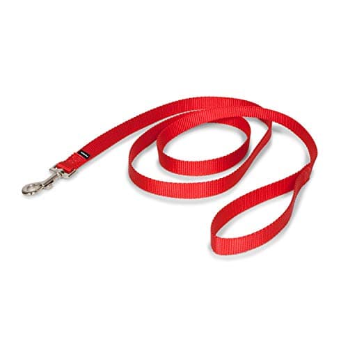 PetSafe Nylon Leash - Everyday Use Dog Leash - Lightweight Nylon - Quick Attach - Durable Pet Lead - 3/4" Wide - 6 Foot - Red