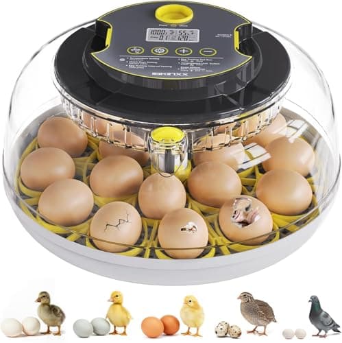 IBKINXX Incubator for Hatching Eggs18 Egg Capacity Automatic Egg Turner Temperature Humidity Control 360 Viewing for Chicken Duck and Quail Eggs