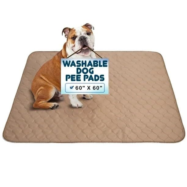 EZwhelp Reusable Dog Pee Pads Dogs Waterproof Training Pads Washable Sanitary Rounded Corners Laminated Lightweight Durable Pet Essentials Puppy Training Whelping 60 x 60