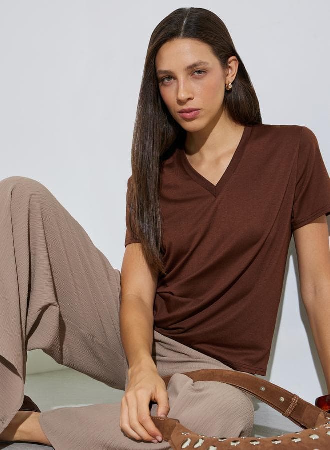 Brown Plain V Neck Regular Fit T-Shirt