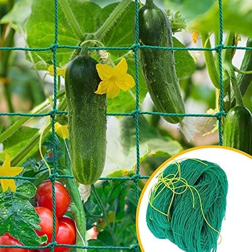 Plant Climbing Net & Creeper Support for Agriculture and Gardening Netting 10Feet X 5Feet