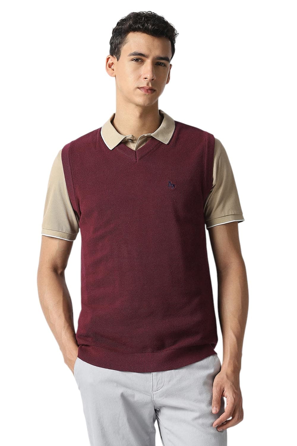Men Maroon Textured V Neck Sweater