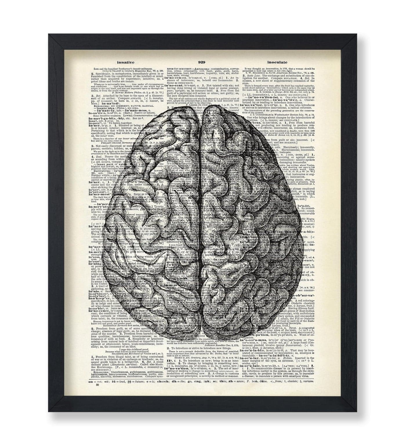 Poster Master Dictionary Art Poster - Human Brain Print - Anatomical Brain Art - Anatomy Art - Gift for Doctor, Nurse - Great Wall Decor for Clinic, Hospital, Office - 8x10 UNFRAMED Wall Art