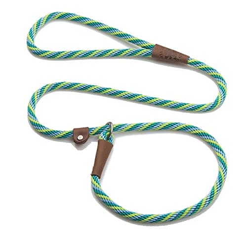 Mendota Pet Slip Leash - Dog Lead and Collar Combo - Made in The USA - Seafoam, 3/8 in x 4 ft - for Small/Medium Breeds