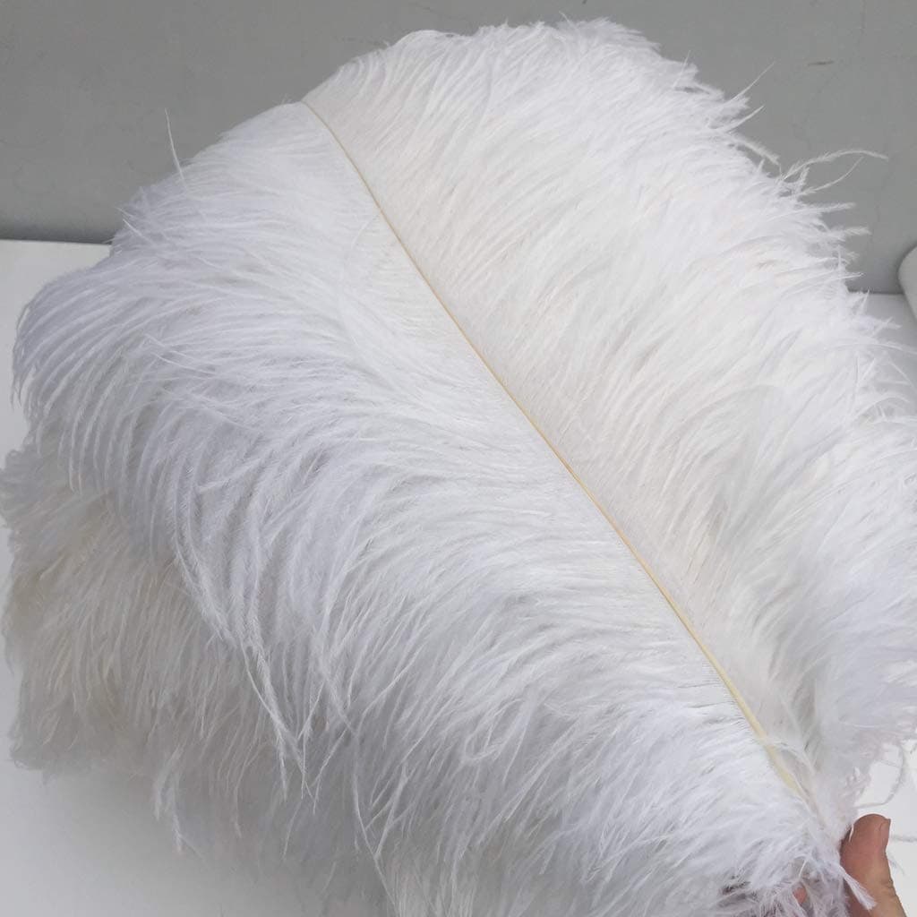 Shekyeon White 1618inch 4045cm Ostrich Feather DIY Craft Feather Pack of 10