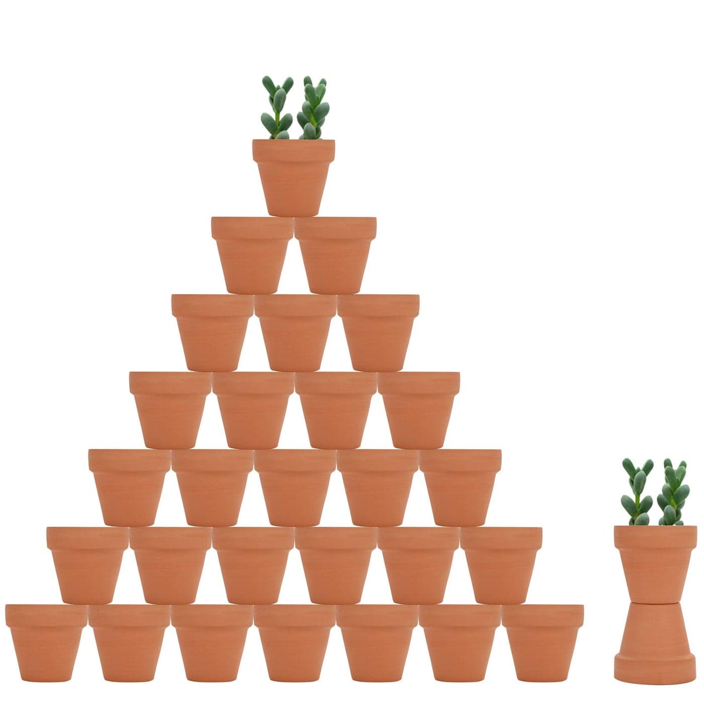 32pcs Small Mini 2 Terracotta Pot Clay Ceramic Pottery Planter Cactus Flower Nursery Terra Cotta Pots with Drainage Hole for IndoorOutdoor Succulent Plants Crafts Wedding Favor