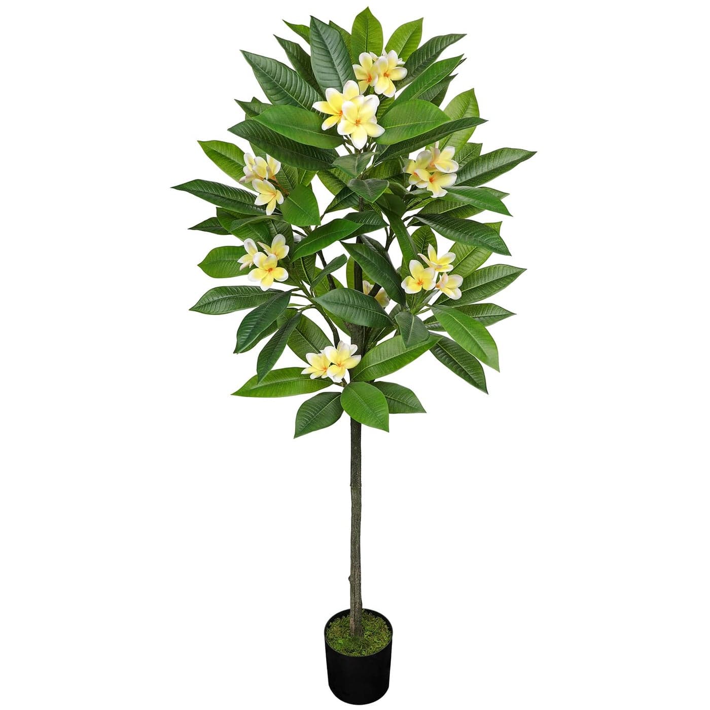 Briful Artificial Plants Indoor 509ft Fake Tropical Plumeria Flowers Tree in Black Pot Hawaiian Yellow Plumeria Faux Frangipani Tree Potted Floor Plant for Home Office Wedding Decor