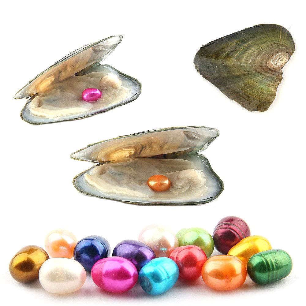 10PCS Freshwater Cultured Pearl Oyster with 78mm Oval PearlInside 10pcs Random Colors Pearls