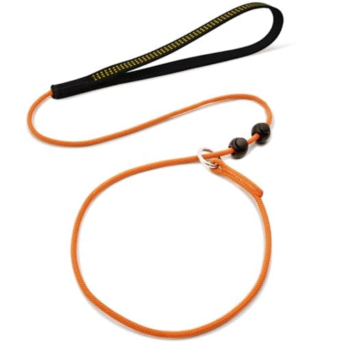 BeauGo Slip Leads for Dogs,Training Leash,No-Pull Slip Leash and Collar,Heavy Duty& Durable,Thin Slip Lead,Suitable for Small, Medium, and Large Dogs(Orange,3.6FT)