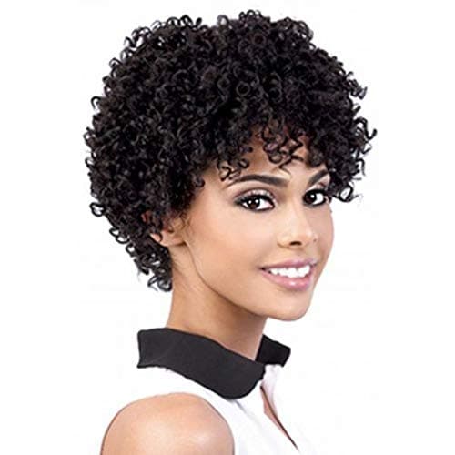 Swiking Short Afro Curly Wig for Black Women Hair Kinky Wigs With Bangs Synthetic Heat Resistant Natural Looking Wigs(Black)