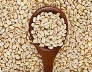 Pmw - Jar Pack - Barley Grains - Jav - Cleaned - Hordeum Vulgare - 500 Grams
