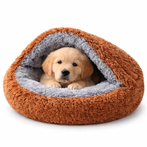 ZEXSAZONE Ultra Soft Plush Pet Bed for Dogs, Puppy & Cats | Warm Cozy Round Dog Bed with Anti-Slip Base | Washable | Size 55×55×14 cm (Coffee, X-Small)