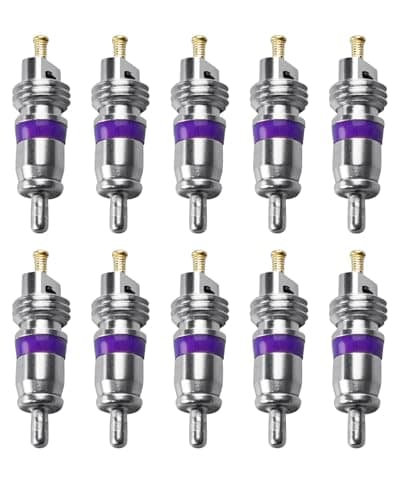 10Pcs AC Schrader Valve Bore European Large Core Fit for MT1544 BMW 64536922944 Mercedes Mini 0008320285 VW 8E0820855134A R12 Sysems Replace 3C0816355 8E0820855 3C0820795