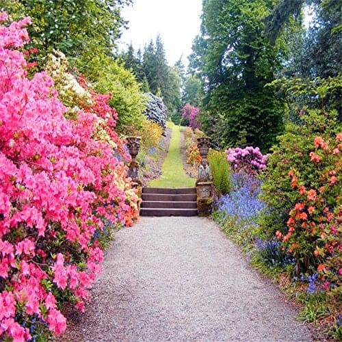 AOFOTO 8x8ft Beautiful Spring Blossom Flower Photography Backdrop Garden Landscape Background Outdoor Vintage Park Manor Scenery Wedding Photo Studio Props Woman Lady Girl Artistic Portrait Wallpaper