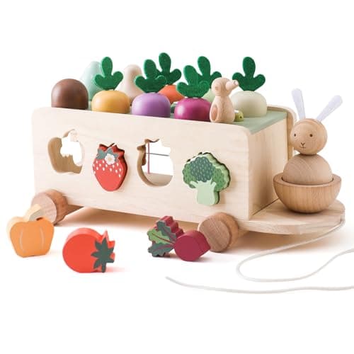 OESSUF Montessori Toys Toddlers Wooden Educational Toys for Baby Boys Girls Shape Sorting Matching Fine Motor Skills Toys Birthday Gifts for Kids