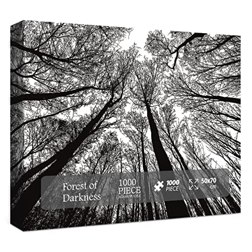 Impossible Puzzle 1000 Piece Challenging Difficult Puzzles for Adults Hard Jigsaw Puzzles for Adults