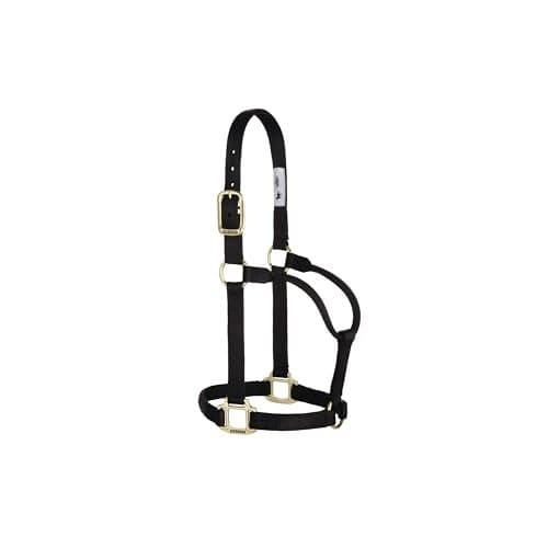Weaver Leather Original Non Adjustable Halter Black Avarage HorseYearling Draft