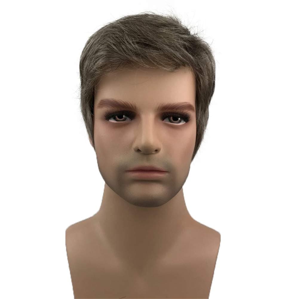 Aimole Mens Wigs Short Straight Hair Brown mix Sliver Natural Synthetic Full Wig