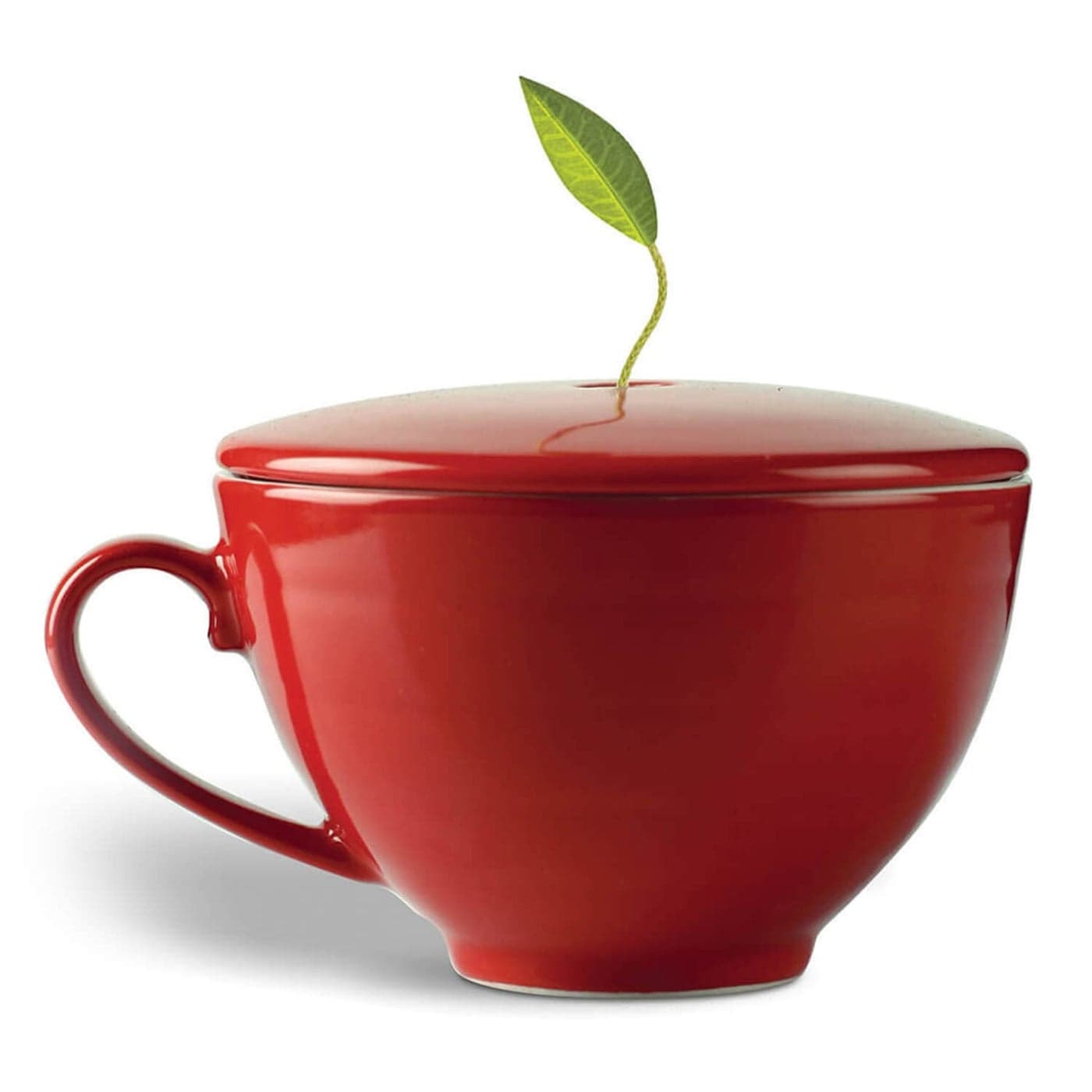 Tea Forte Cafe Cup Ruby Red Porcelain Tea Cup and Lid Steeps 8 oz Microwave and Dishwasher Safe