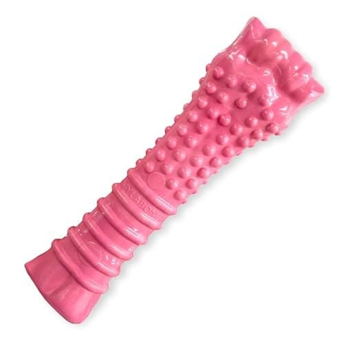 Nylabone Power Chew Breast Cancer Awareness Femur Bone Chew Toy for Dogs, Indestructible Dog Toys for Aggressive Chewers, Chicken Flavor, X-Large/Souper (1 Count)