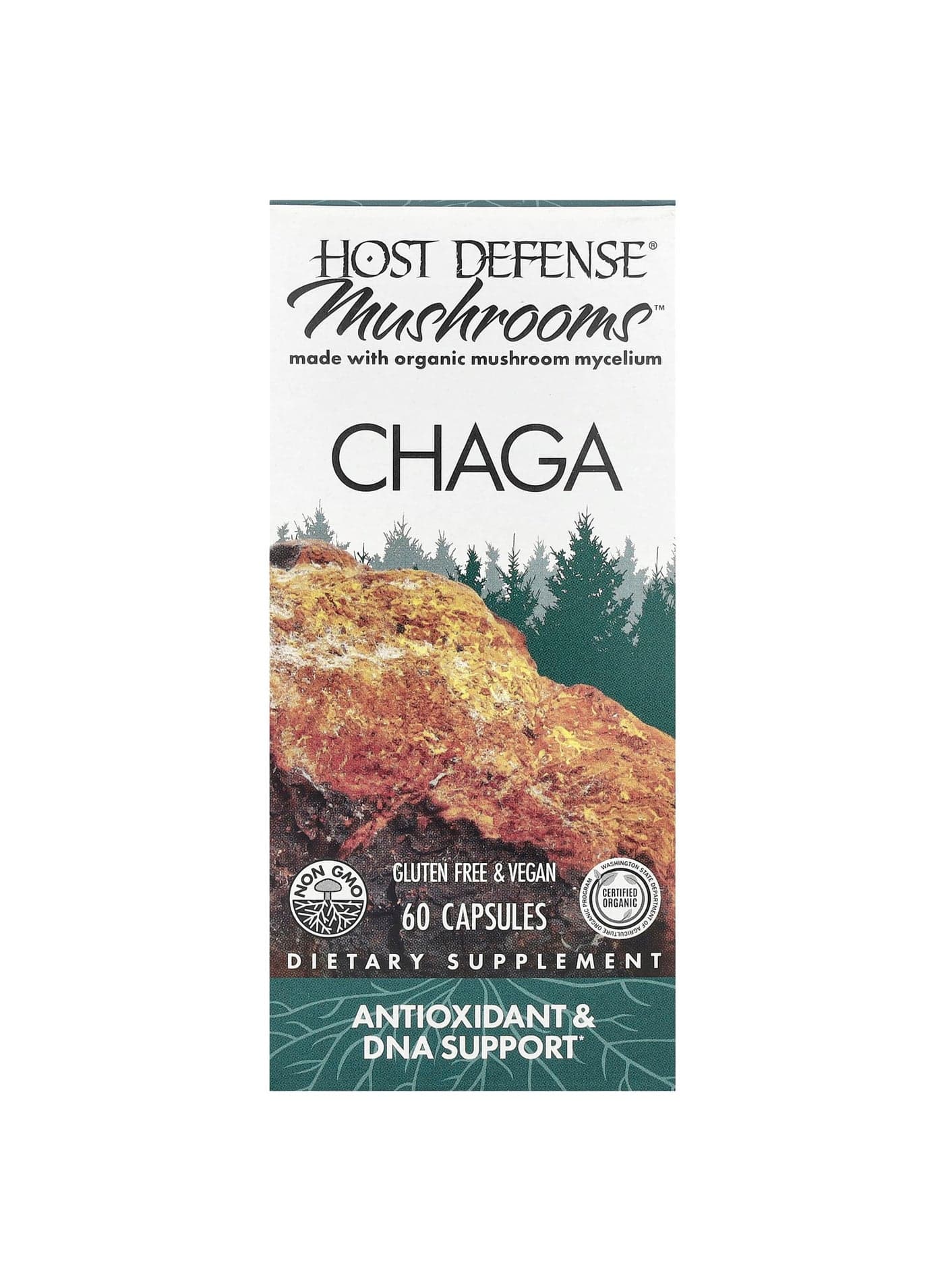 Mushrooms™, Chaga, 60 Capsules (0.5 g per Capsule)