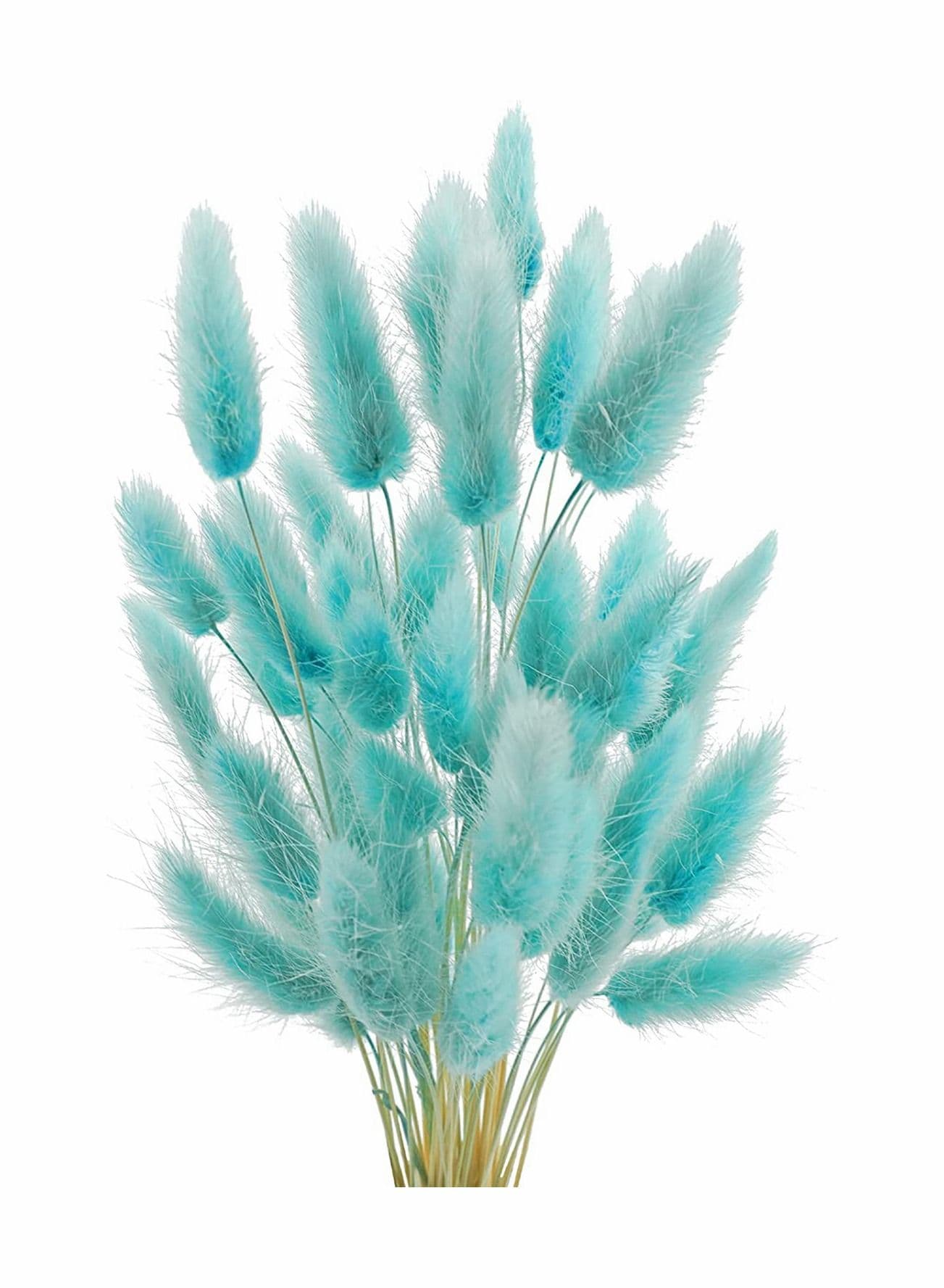 Natural Bunny Tails Dried Flowers, 70 Pcs Lagurus Ovatus, Pampas Grass Decor for Farmhouse Flower Arrangements Wedding Home Boho Party Decorations(Tiff Blue)