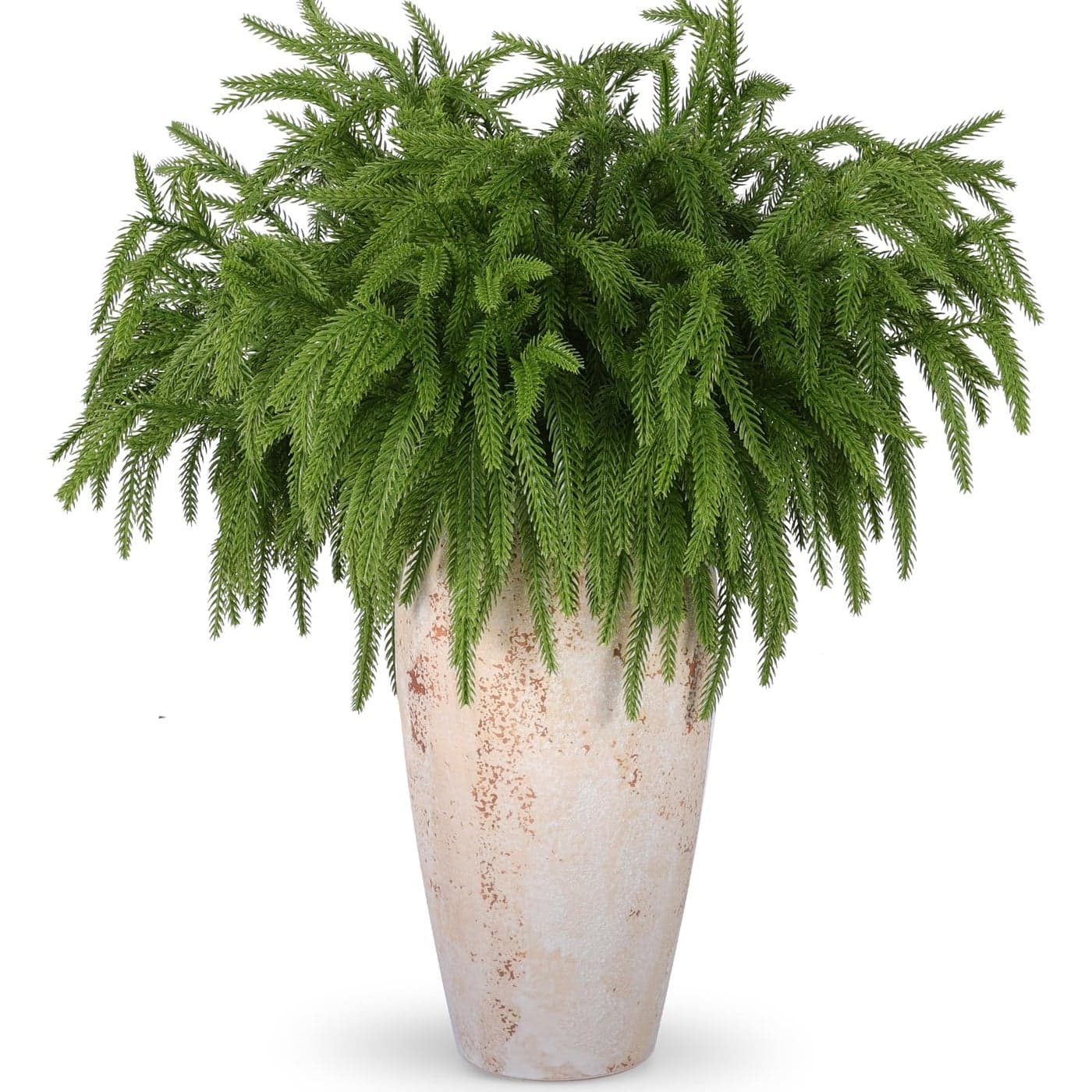 Rowfad 12 Pcs Christmas Norfolk Pine Branches Norfolk Pine Artificial Christmas Stems DIY Crafts Faux Christmas Greenary Norfolk Pine Branches for Xmas Wreath Garland Home Decor 12