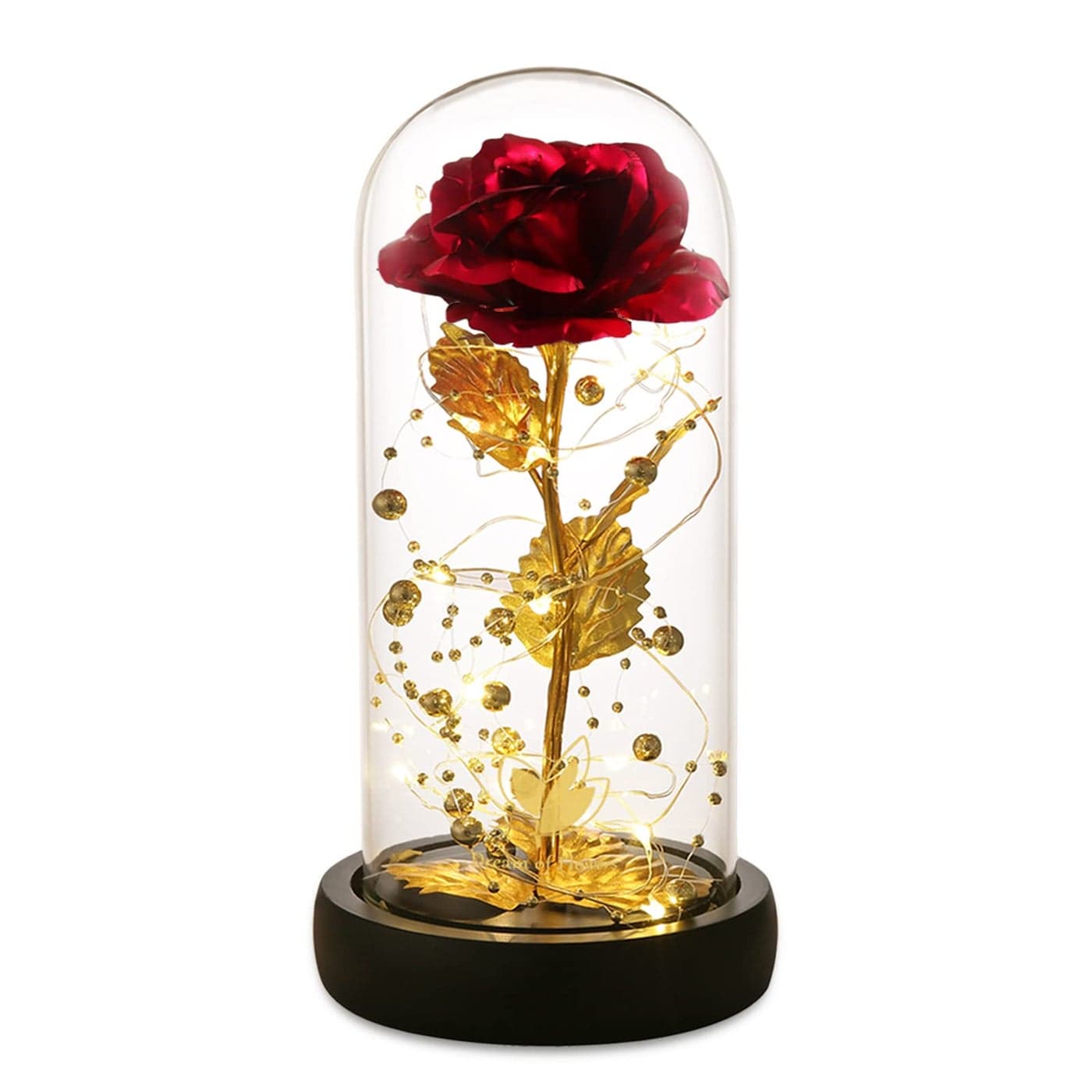 Mothers Day Rose Gifts for MomBeauty and The Beast Rose in Glass DomeColorful LED LightsGalaxy Flower Rose Gifts for Mom Wife GrandmaBirthday Gifts for WomenMothers Gift