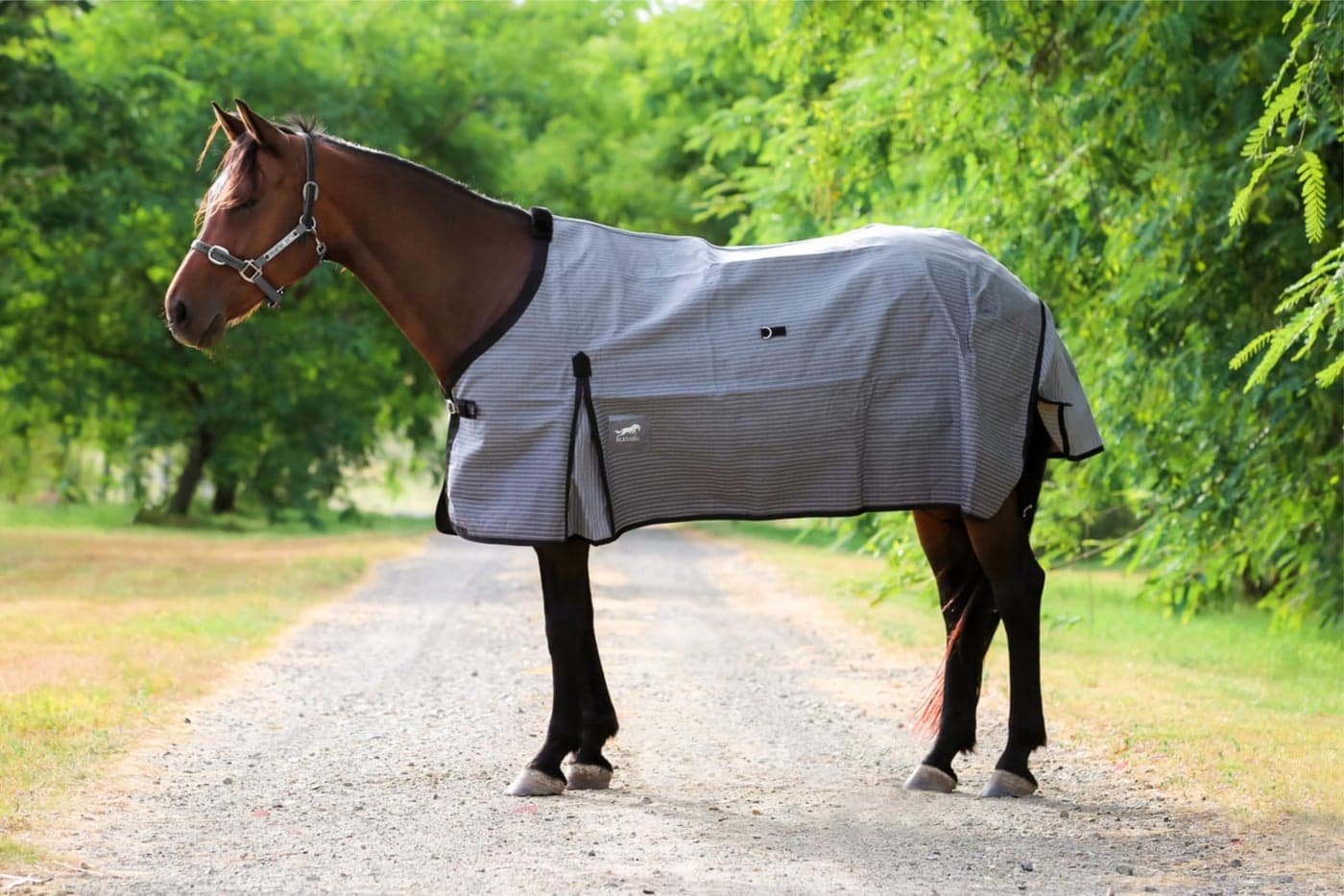 BLESSING PET SUPPLY Horse and Cow Blanket Cavas and Polar Fleece with frount Closer (165 CM)