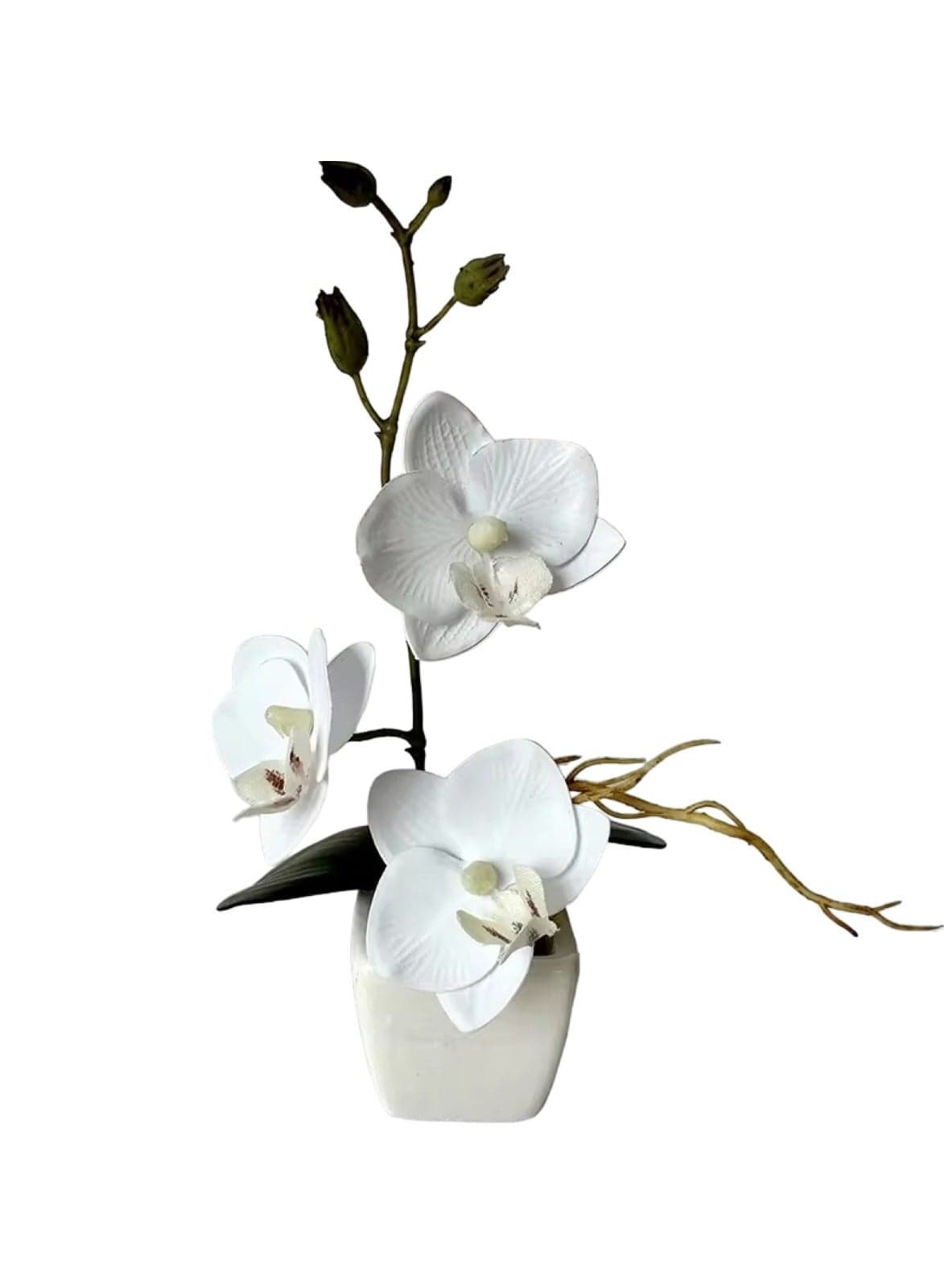 Artificial Phalaenopsis Whiskers Mini Potted Beauty White