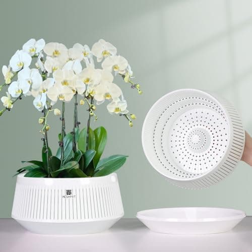 Meshpot Orchid Pots with Holes for Repotting Decorative African Violet Pots with AirPruning and Good Air Circulation Plastic White Orchid Planter with Saucers 8 Inch Set of 2