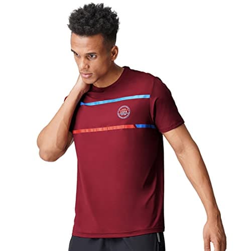 U.S. POLO ASSN. Men Polyester Regular Fit Brand Stripe Crew Neck I714 T-Shirt - Pack of 1 (Maroon L)