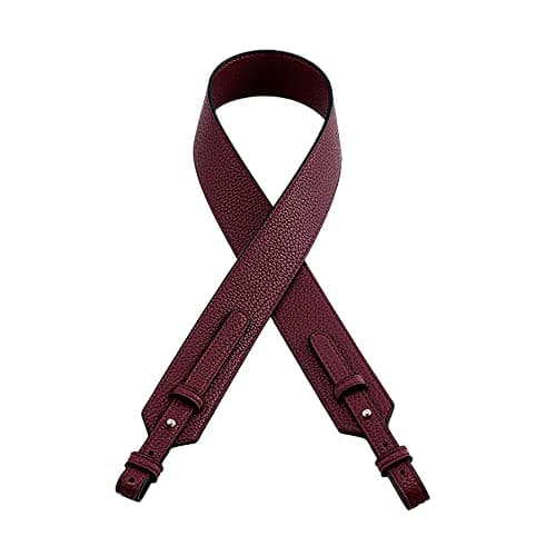 MOISTRI Grain Leather Purse Strap Adjustable Crossbody Replacement Straps for Handbags Monk Head Screws Detachable Gold Clasps Short Burgundy Red