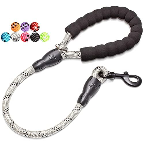 BAAPET 2/4/5/6 FT Dog Leash with Comfortable Padded Handle and Highly Reflective Threads for Small Medium and Large Dogs (2FT-1/2'', Silver)