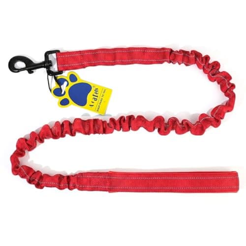 A+a Pets’ Short Bungee Leash | Traffic Lead | for Training & Better Control (RRed)