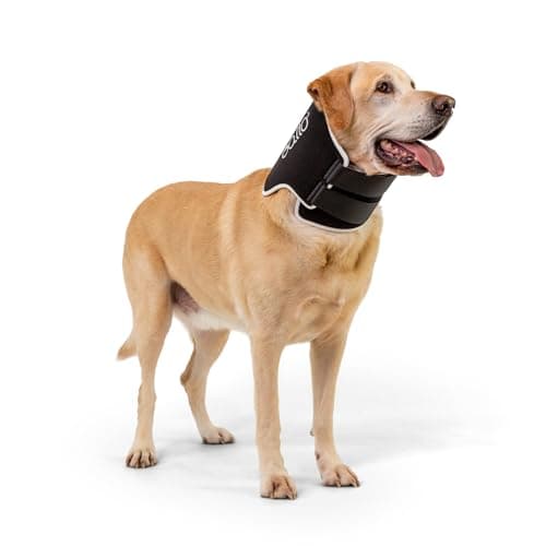 Balto Neck Eco Soft Recovery Collar for Dogs – E-Collar Alternative for Post-Surgery, Allergy Relief & Wound Protection – Adjustable, Breathable, Washable Cone – Vet-Approved (Large)
