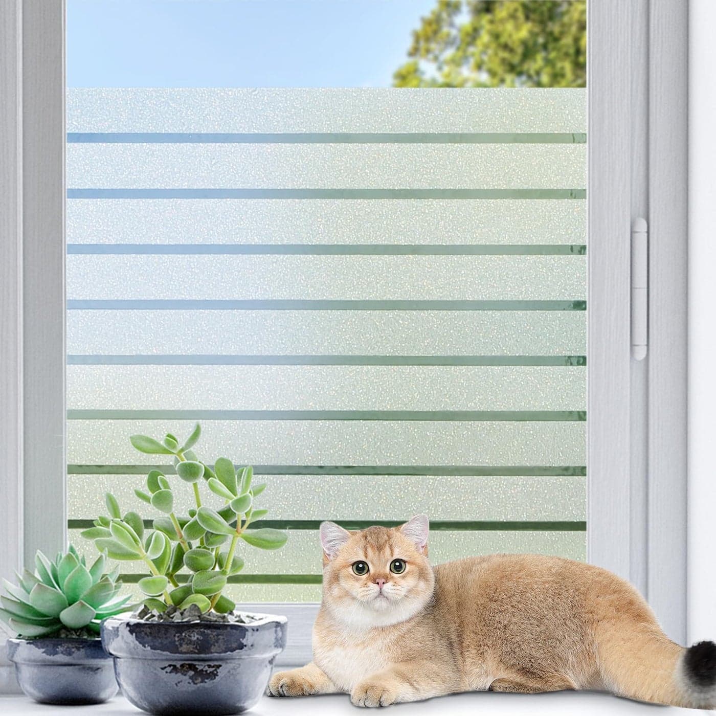 Coavas Window Privacy Film Frosted Glass Window Film Heat Blocking Window Cling Decorative Frosting Film Static Cling Vinyl Door Coverings Home Tint Blinds 236 x 787 inch Pure